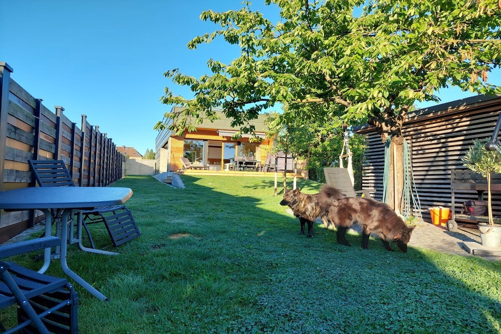 423026-Nicht zugeordnet