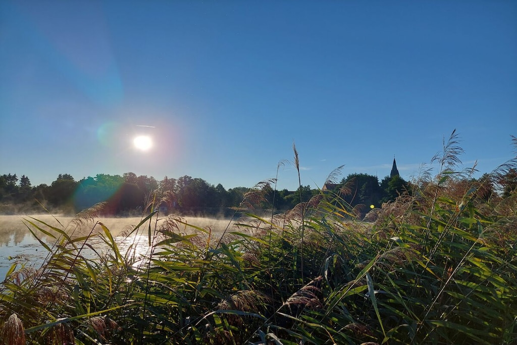 423026-Nicht zugeordnet