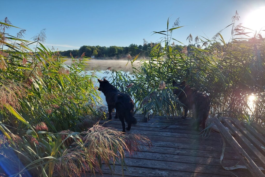 423026-Nicht zugeordnet