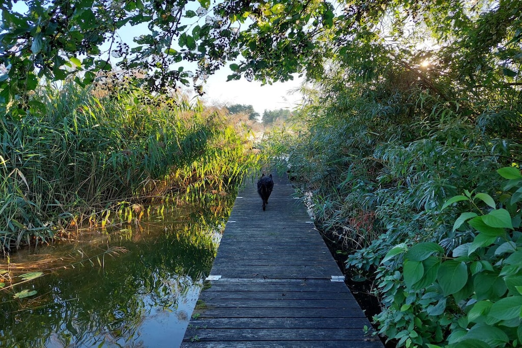 423026-Nicht zugeordnet