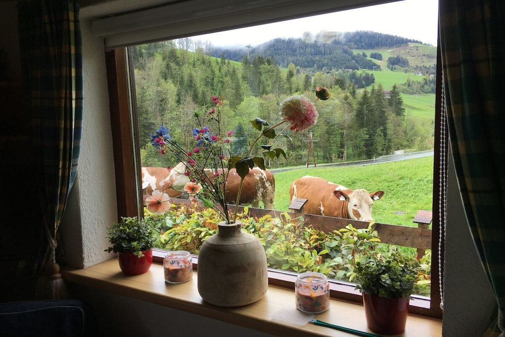 Ground floor: (bedroom(Wardrobe, double bed), bedroom(Wardrobe, double bed, TV))\n\nAttic: (bedroom(single bed, single bed))\n\nHot Water, Vacuum Cleaner, Kitchen(stove, hob, electric kettle, cooker, coffee machine, oven, dishwasher, fridge, washing machine), Living/diningroom(Sofa, TV, dining table, fireplace, stove, radio), bathroom(toilet, shower, washbasin, heating), Internet access, washing machine, terrace(Barbecue center, grill, garden furniture), garden(Barbecue center, Lawn, garden furniture, sun loungers), parking, stair gate, ironing board, iron, drying cabinet