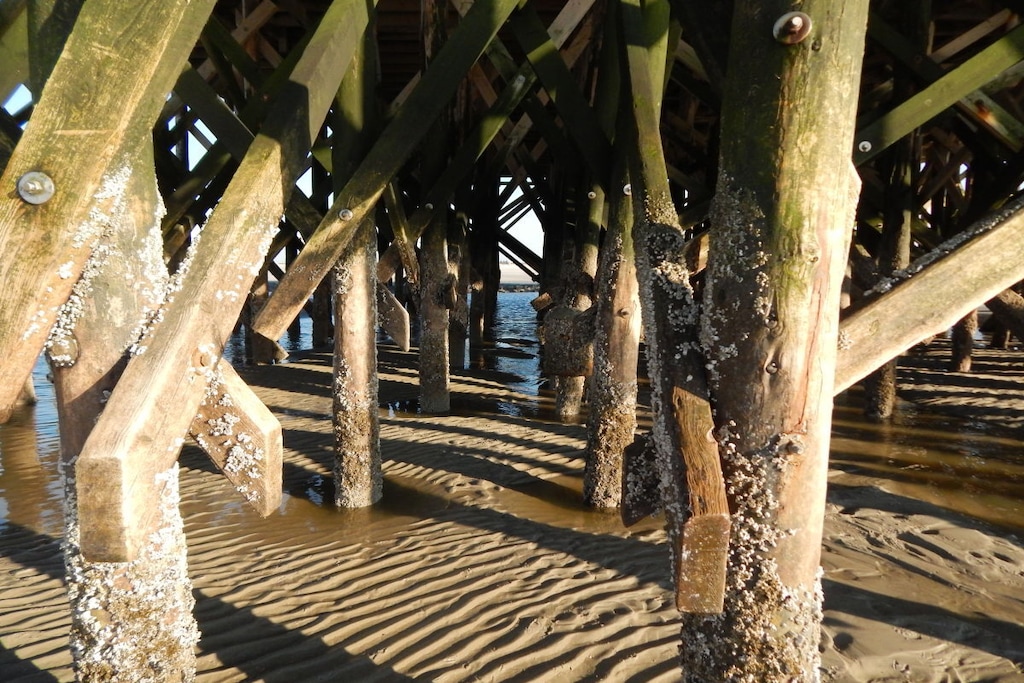 103145-Nicht zugeordnet