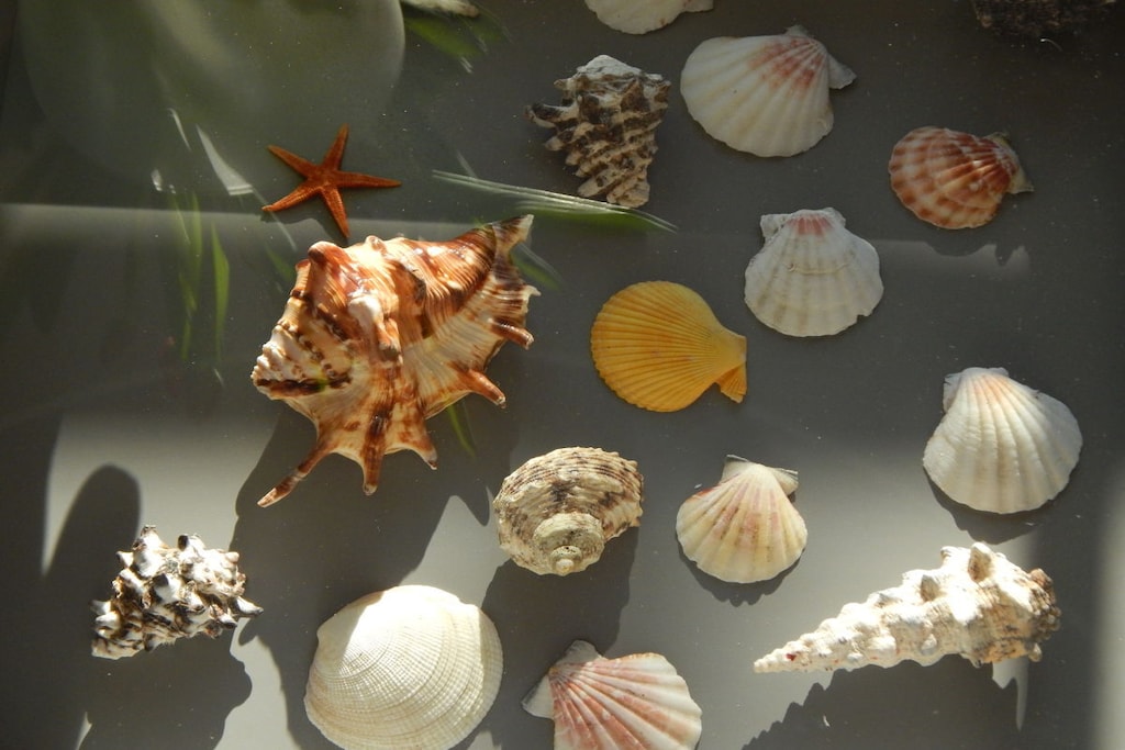 103145-Nicht zugeordnet