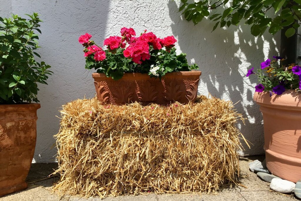 On the 1st floor: (Kitchen(hob, electric kettle, toaster, coffee machine, oven, microwave, dishwasher, fridge, freezer), Living/diningroom(single sofa bed, TV, dining table, radio, high chair, party games, toys), bedroom(double king size bed, cot), bedroom(single bed, single bed, cot), bathroom(bath tub, shower, washbasin, toilet, Towels incl.), toilet(washbasin, toilet, Towels incl.))\n\nbalcony, garden furniture, parasol