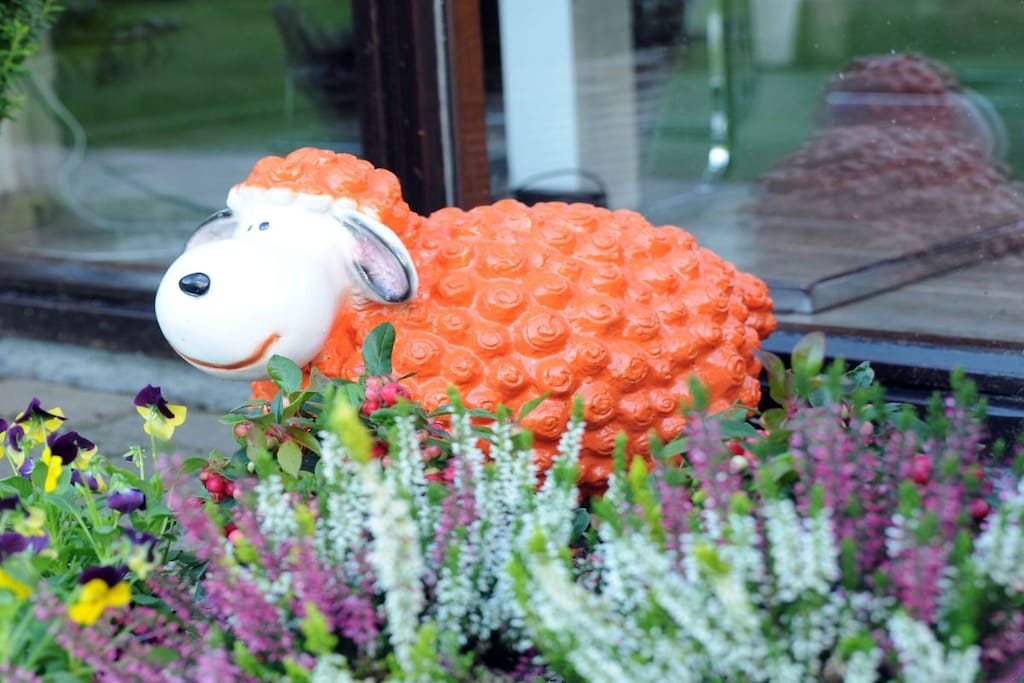 Texel Dream Holiday Home 658