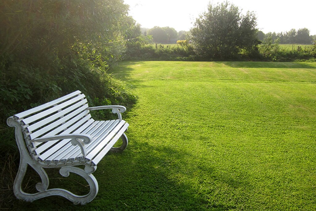 Garden Summer