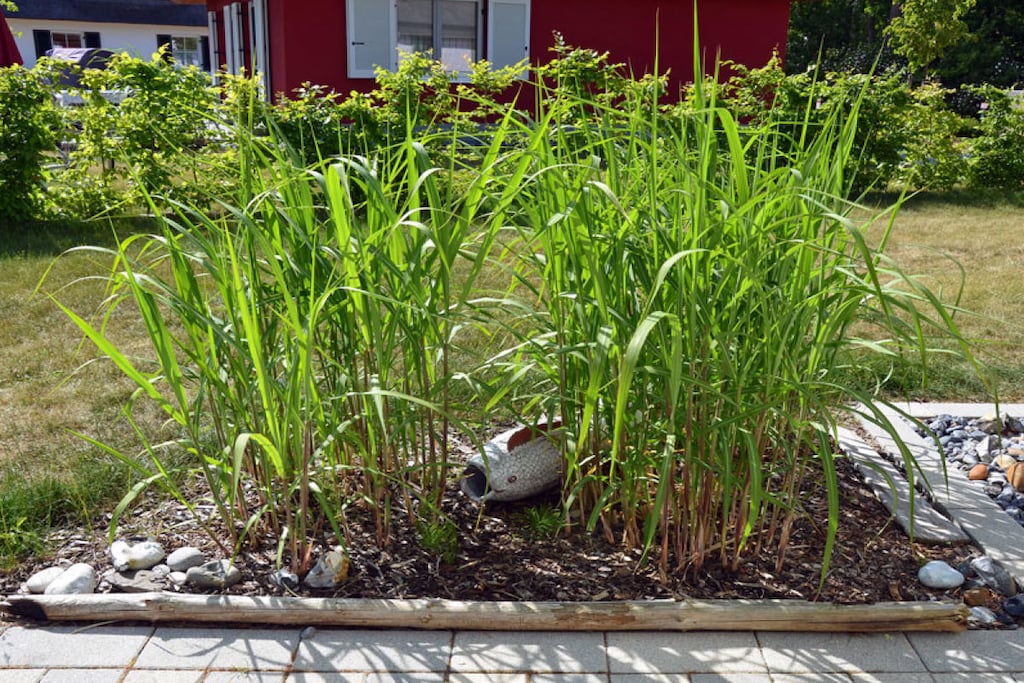 Seagrass Comfortable holiday residence