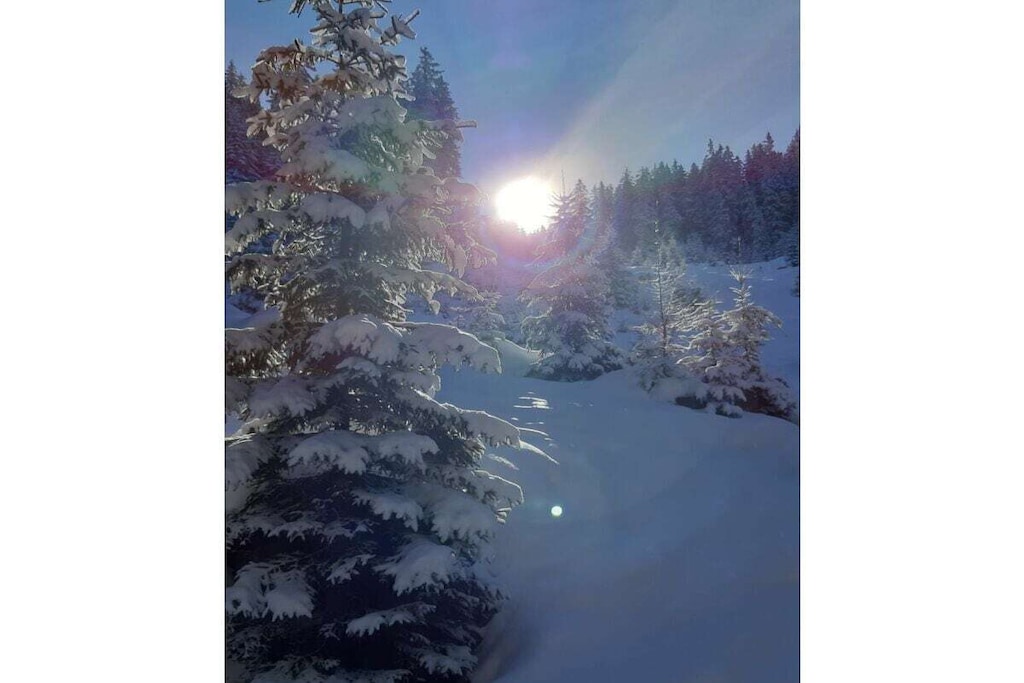 Hildegard Pedevilla Comfortable holiday residence