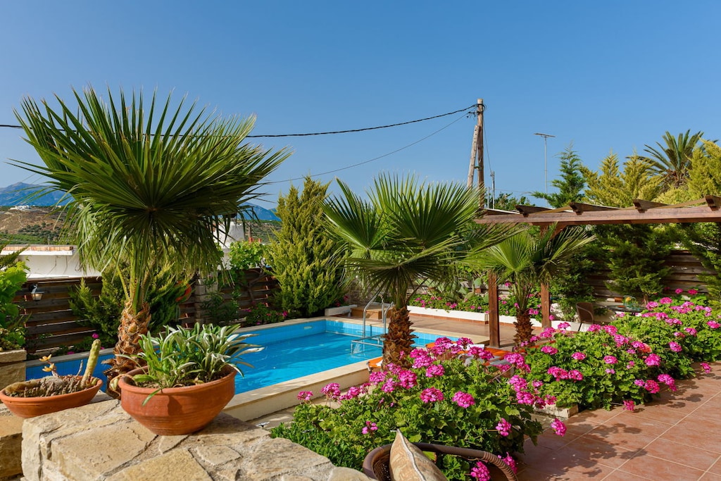 Cleopatra Stonehouse