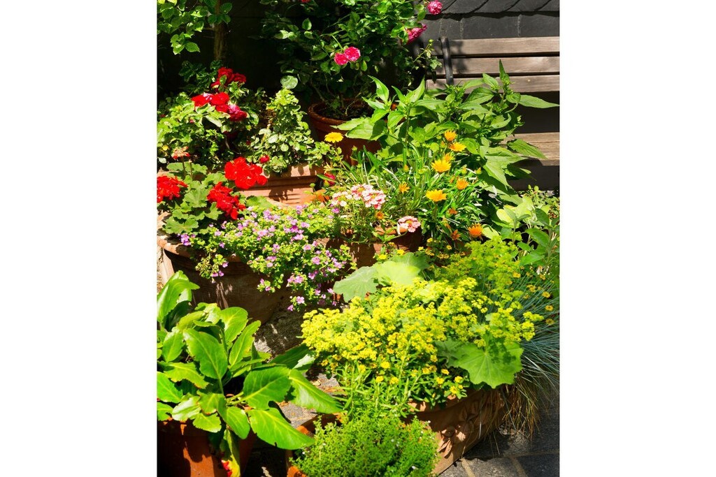 Holiday home in Goslar for 4 people