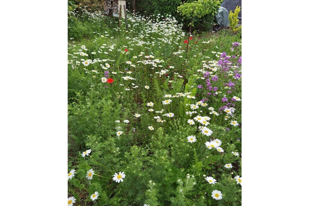 Richter in Allrode Comfortable holiday residence