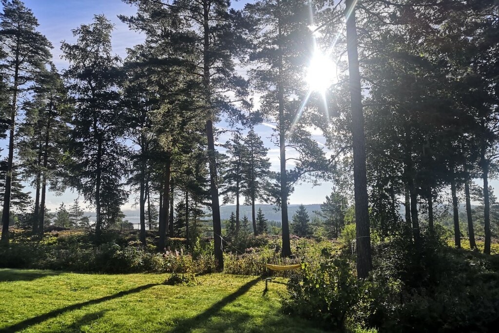 Pure relaxation in Sweden