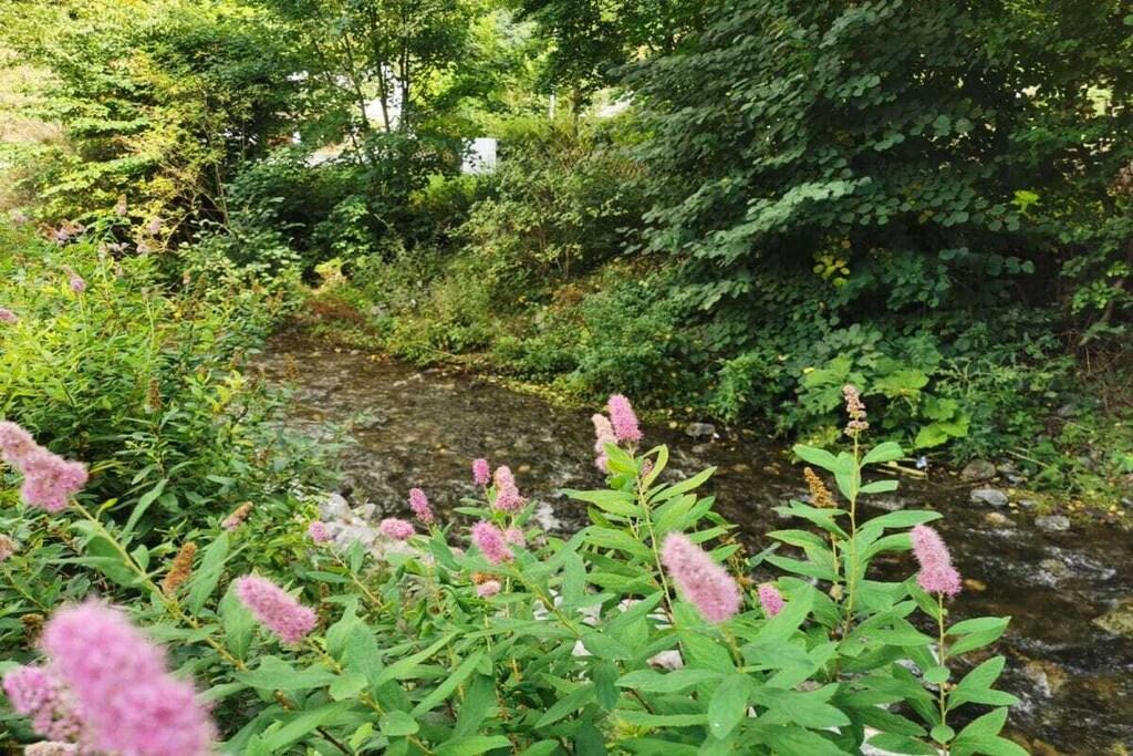 Naturgeist Comfortable holiday residence