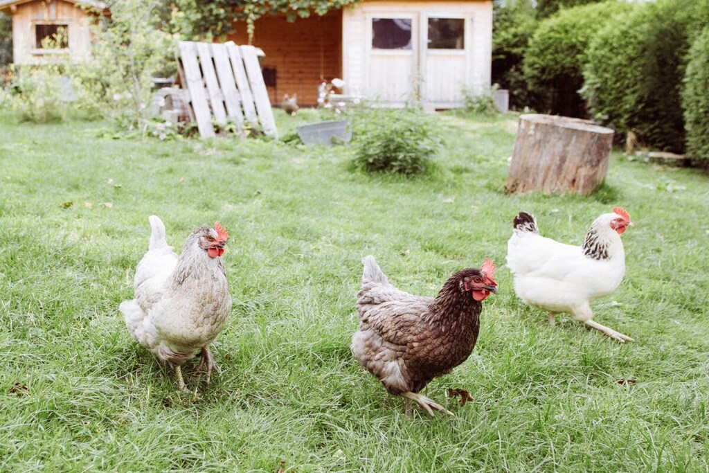 at the Hartmanns Comfortable holiday residence