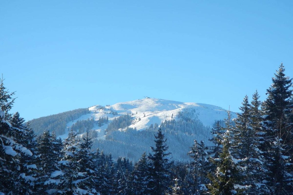 Steger Comfortable holiday residence