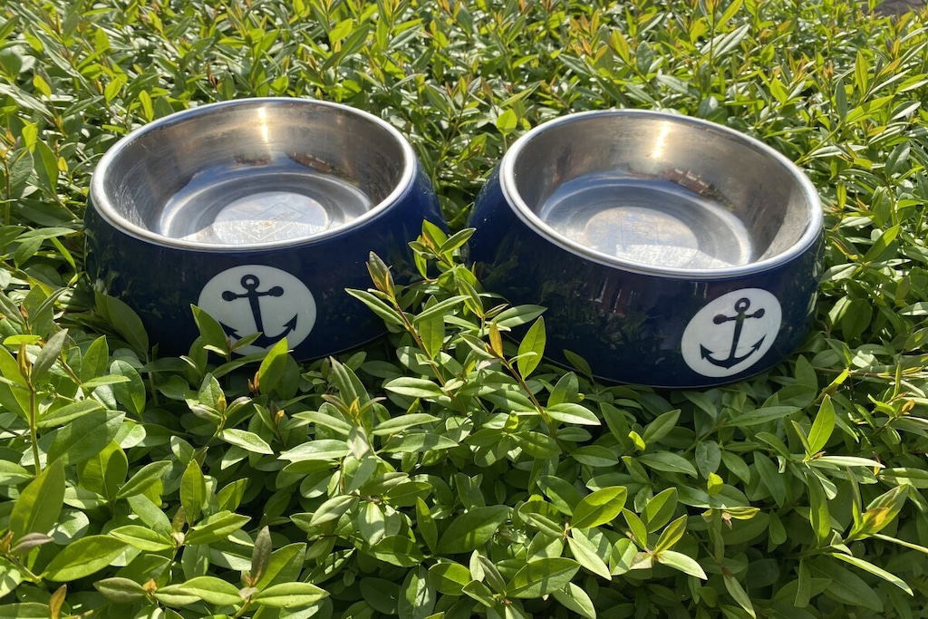 492249-Nicht zugeordnet