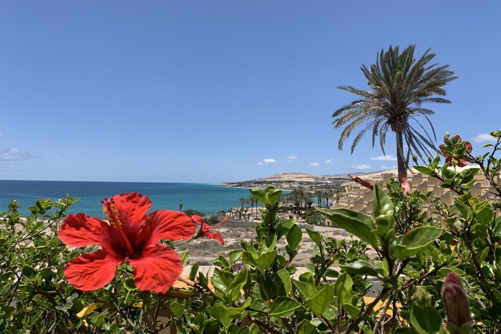 Fuerteventura