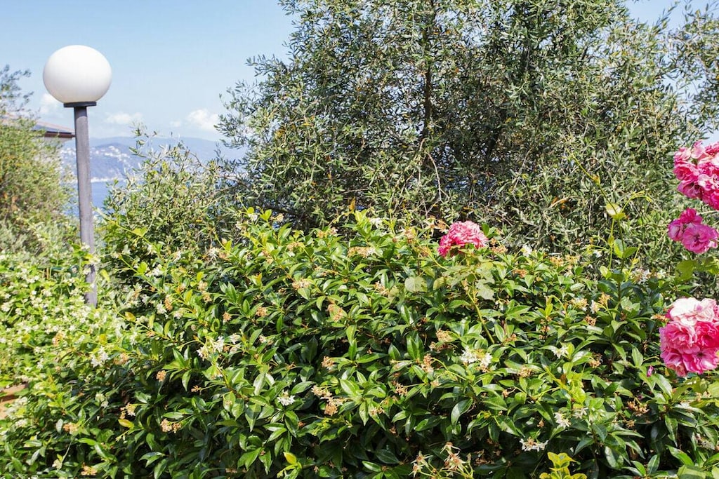 Amazing sea view in Santa Margherita