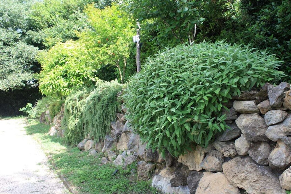 Villa Stauder - Holiday Apartment Olivi