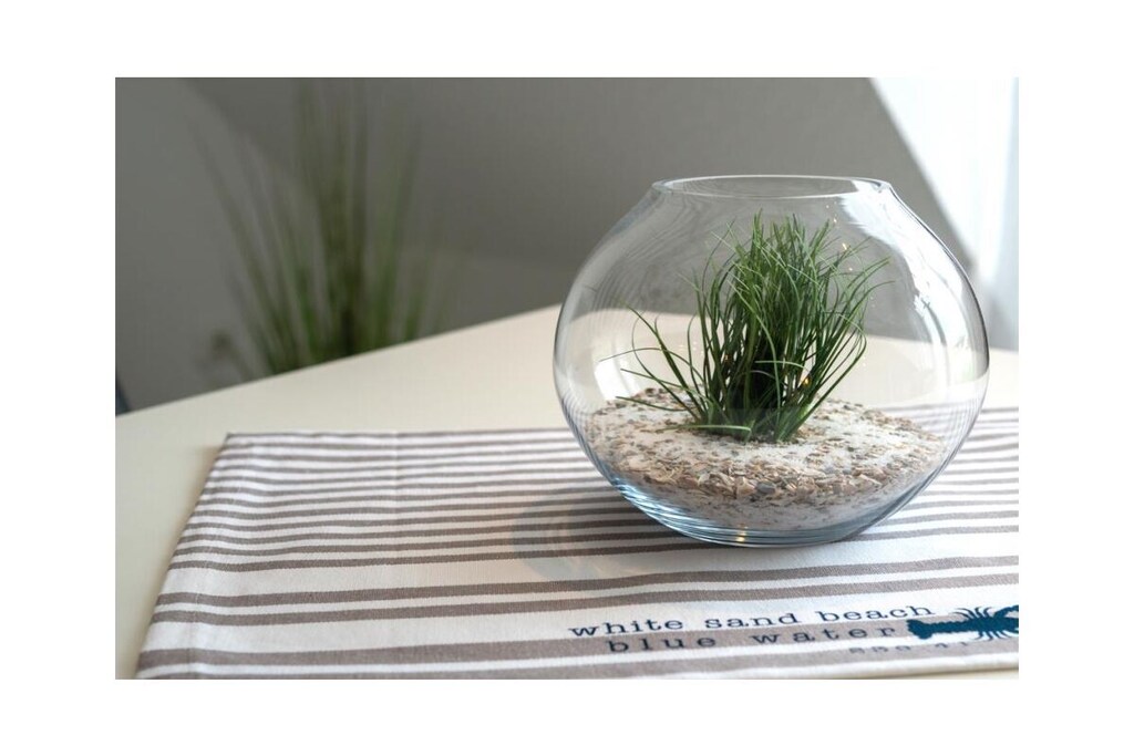 Holiday apartment Landoase