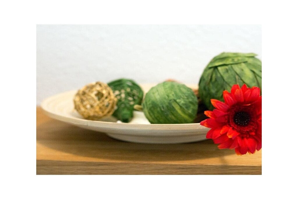 Ground floor: (Living room(single sofa bed, TV, radio, heating), Kitchen(hob, electric kettle, toaster, coffee machine, oven, microwave, dishwasher, fridge, freezer, high chair), bedroom(cot), bedroom(cot), bathroom(shower, hairdryer))\n\nInternet Access DSL, Vacuum Cleaner, hallway(Wardrobe Coatrack), storage, Internet access, Internet access, Beach, washing machine, balcony(balcony), garden furniture, iron, drying cabinet, parking (paying)