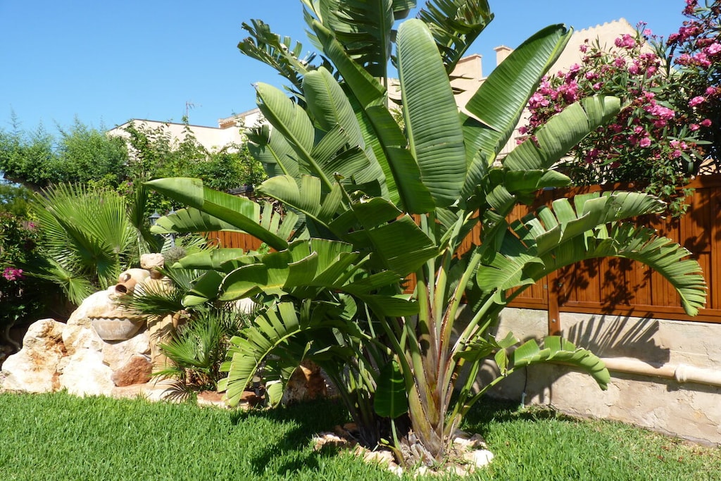 Casa Ben Comfortable holiday residence