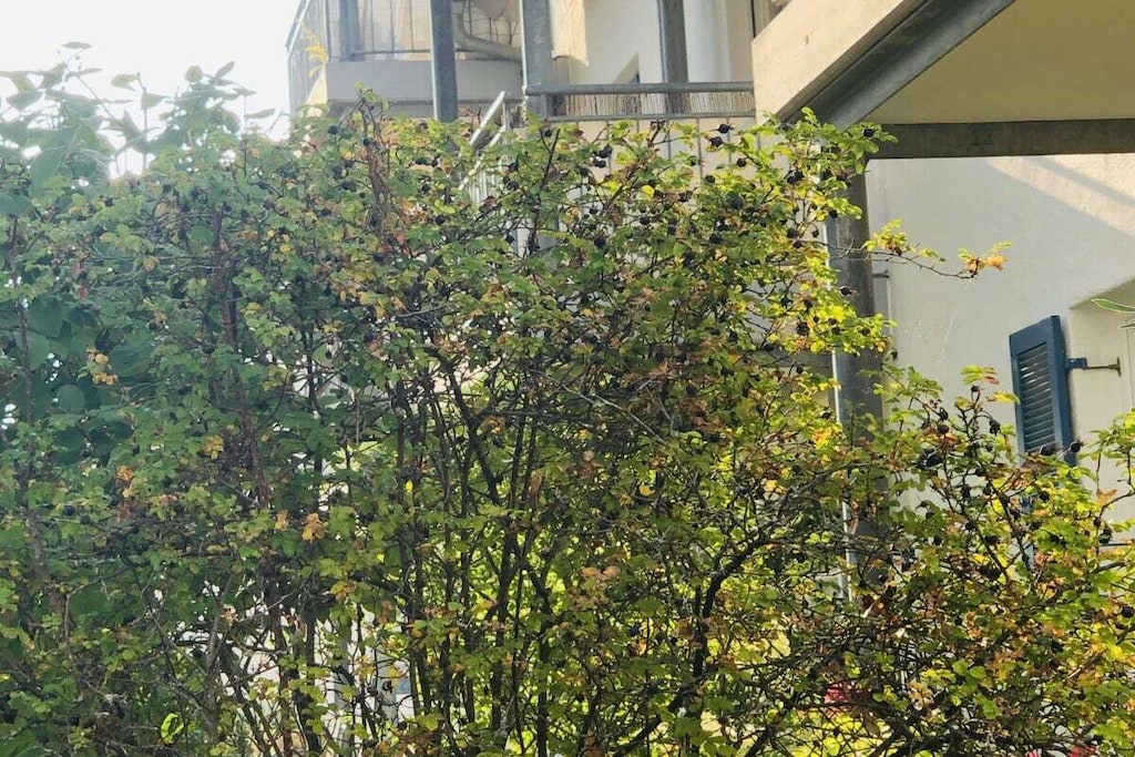 On the 1st floor: (hallway(Mirror, Wardrobe Coatrack), Kitchen(Tea Towels, Kitchenette, dining table, hob(ceramic), electric kettle, toaster, coffee machine, oven, dishwasher, fridge, freezer), Living/bed room(double bed, TV(digital)), bathroom(Make Up Mirror, Mirror, toilet, shower, washbasin, hairdryer, Towels incl.))\n\nFire Alarm, Hot Water, Internet Access DSL, Vacuum Cleaner, garage, Internet access, First Aid, balcony(balcony), heating