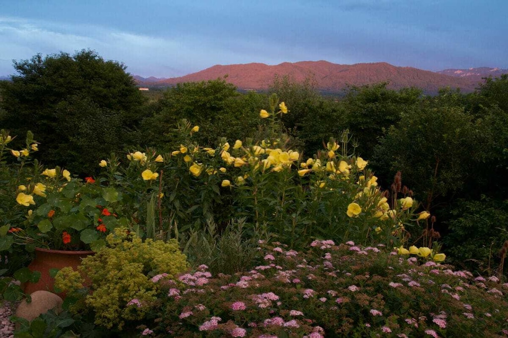 Jagdhaus Nantesbuch Comfortable holiday residence