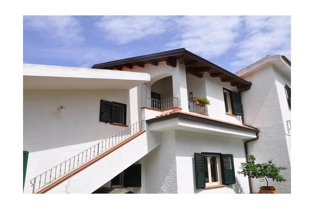 in the botanical garden