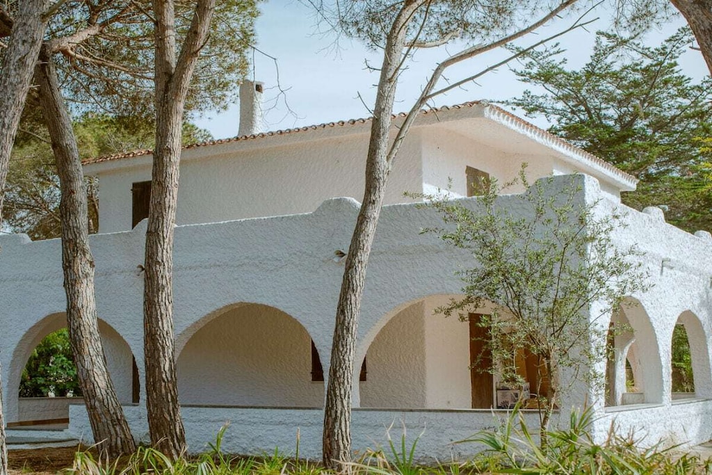 The impressive Villa Rosa, accommodating up to 6 people, was extensively and completely renovated this year (originally built in the 1970s, first available for rent in August 2023). It is located just 300 meters from the beautiful dune beach, nestled in the pine forest of San Pietro a Mare.

White was chosen as the color, creating a striking contrast with the fragrant pine forest and enhancing its presence. All installations, windows and doors, almost all flooring, and of course, the entire interior furnishings have been renewed! Air conditioning is provided. The impressive Villa Rosa, accommodating up to 6 people, was extensively and completely renovated this year (originally built in the 1970s, first available for rent in August 2023). It is located just 300 meters from the beautiful dune beach, nestled in the pine forest of San Pietro a Mare.

White is the color chosen in stark contrast to the fragrant pine forest, enhancing its presence. All installations, windows and doors, almost all flooring, and of course, the entire interior have been renovated! Air conditioning is included.

The house (approx. 120 sq m + 80 sq m veranda + 80 sq m terrace) comprises two floors: a living area on the ground floor and a sleeping area on the first floor. It features three large bedrooms and two bathrooms with showers and a washing machine.