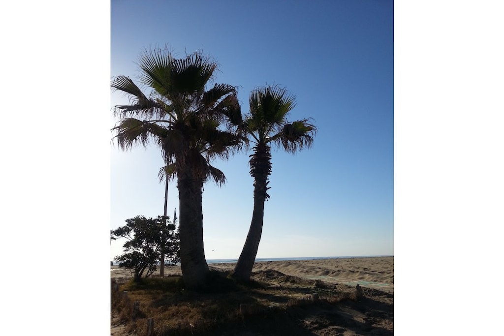 The apartment is very bright with large windows and magnetic mosquito nets.
The new kitchen is fully equipped (electric kettle, filter coffee machine, dishwasher, washing machine, refrigerator with freezer compartment, gas stove, and electric oven).
The living room has a sofa bed for two people and a new smart TV. The bedroom has a double bed (140 x 200 cm) and a spacious wardrobe. Guests arriving by car can park on the street (free of charge) or in the supermarket parking garage (a 10-minute walk) for a fee (approximately €15 per day). Fast Wi-Fi is available!