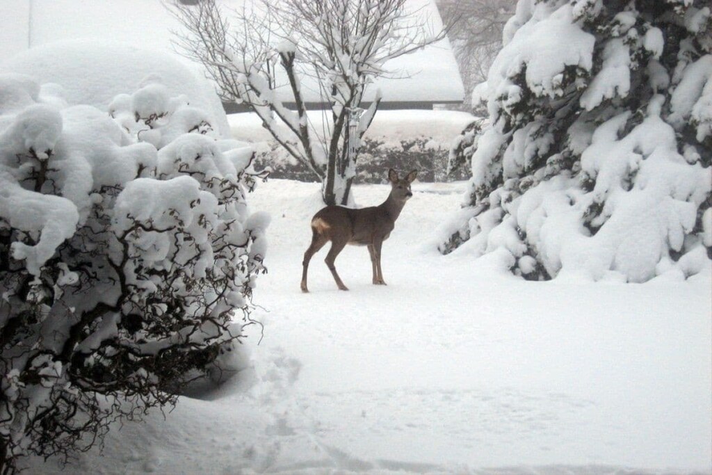 Sonneneck holiday apartment