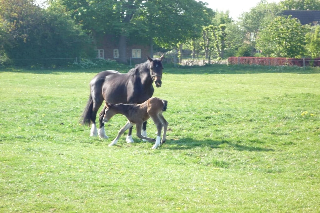 54550 - Niet-getagd