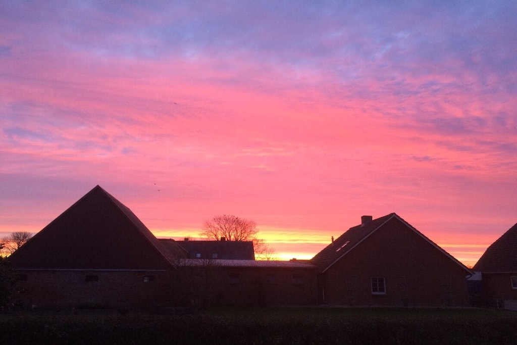 54550 - Niet-getagd