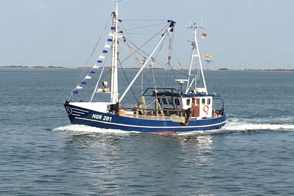 524191 - Non tagué