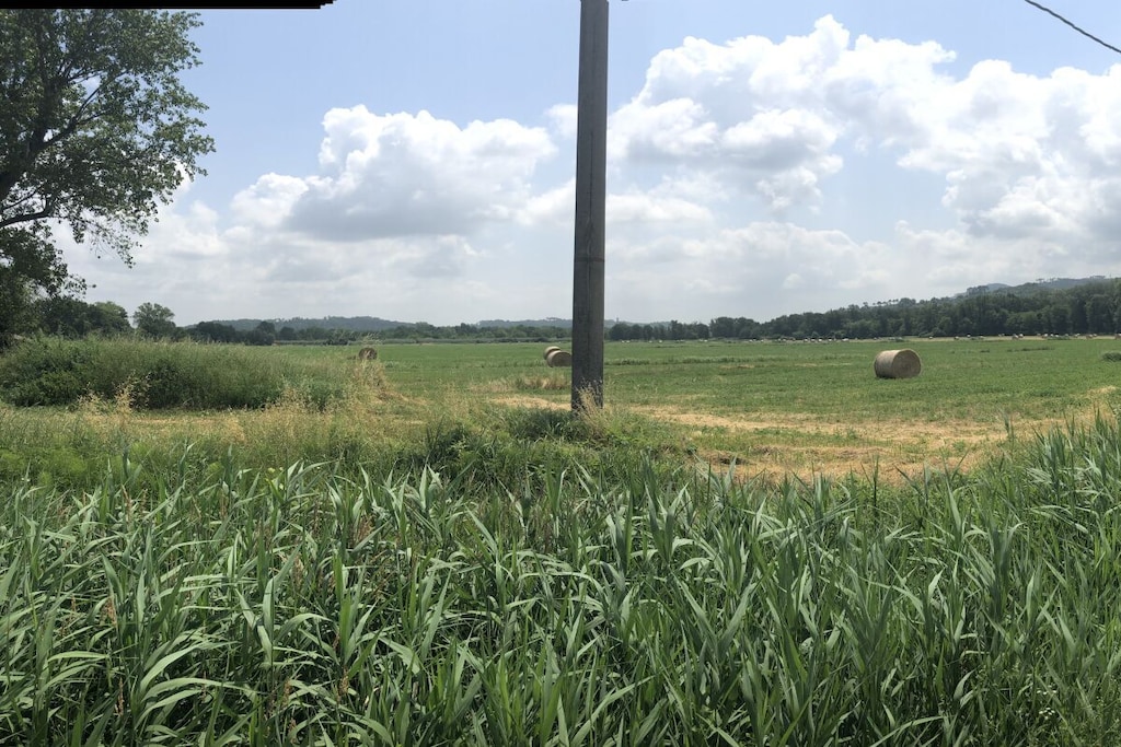 373487-Niet-getagd
