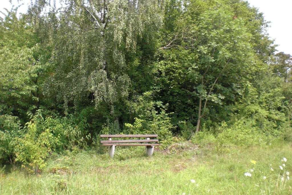 151619-Niet-getagd