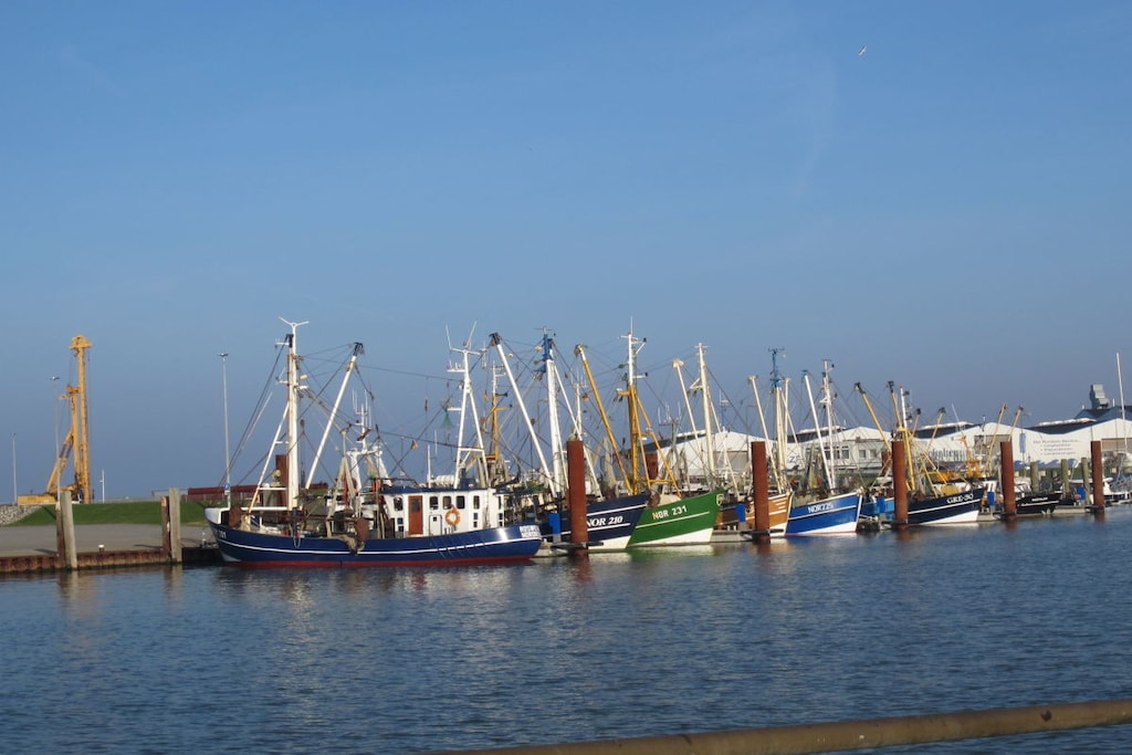 90459-Niet-getagd