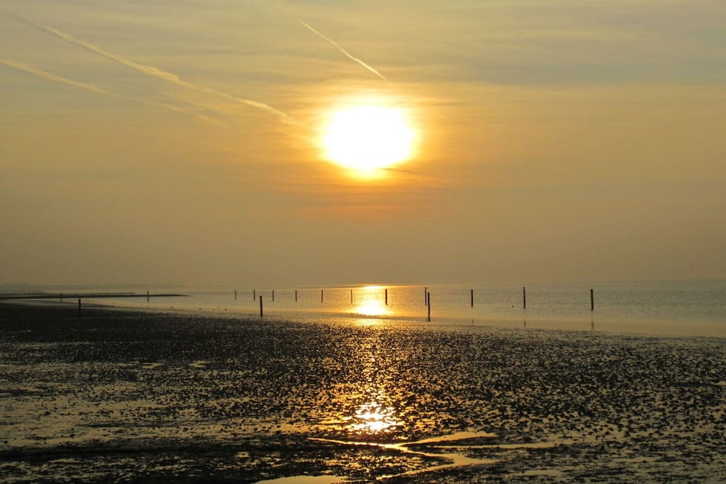 90459-Niet-getagd