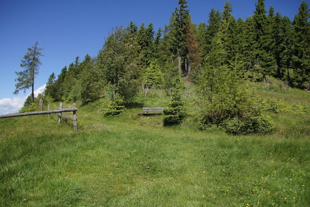 288275-Nicht getaggt