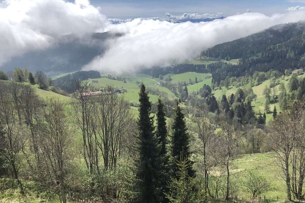 288275-Nicht getaggt