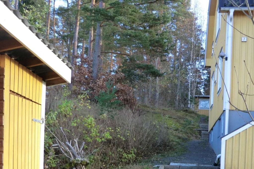 540775-Nicht getaggt