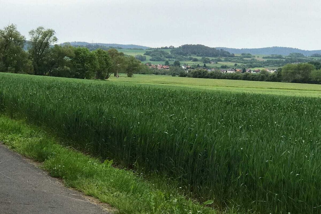 273974-Nicht getaggt