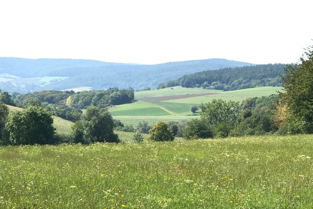 273974-Nicht getaggt