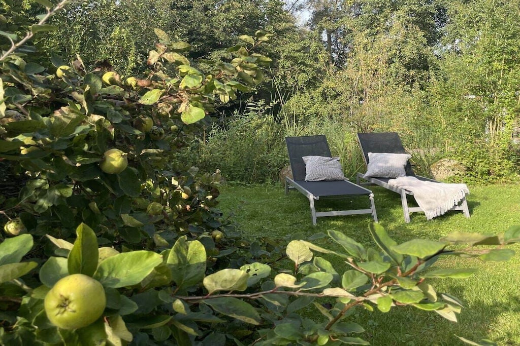540779-Nicht getaggt