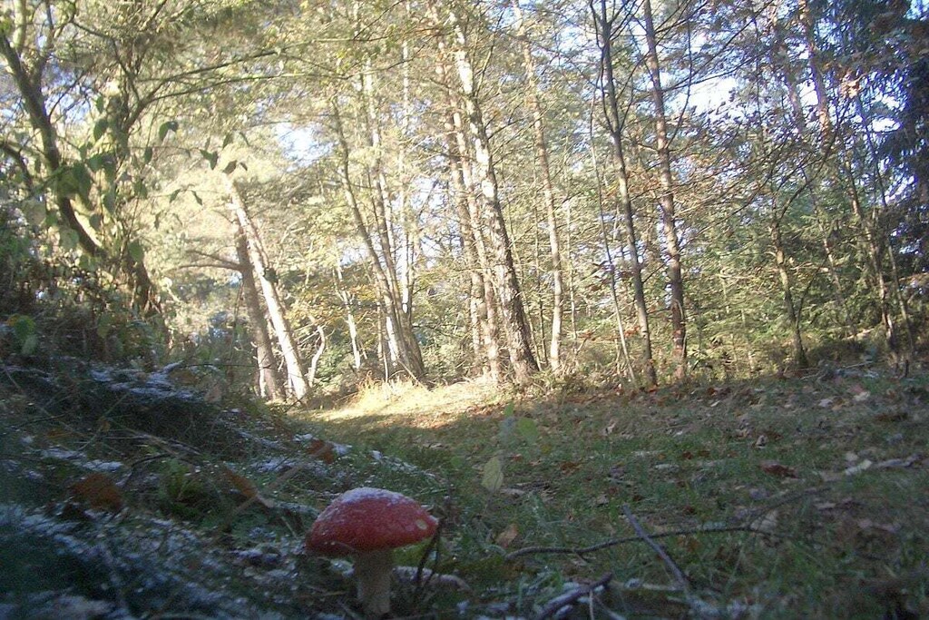 61439-Nicht getaggt