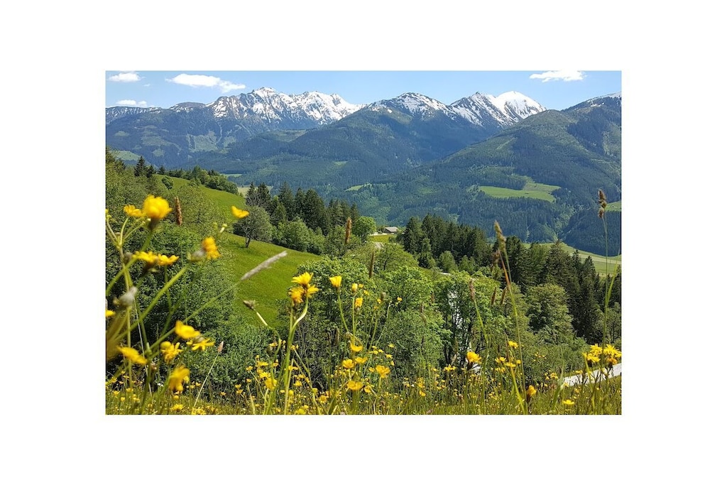 8069-Nicht getaggt