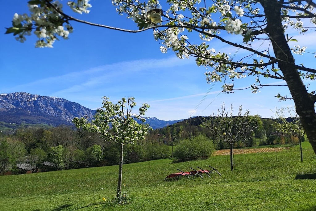 61362-Nicht getaggt