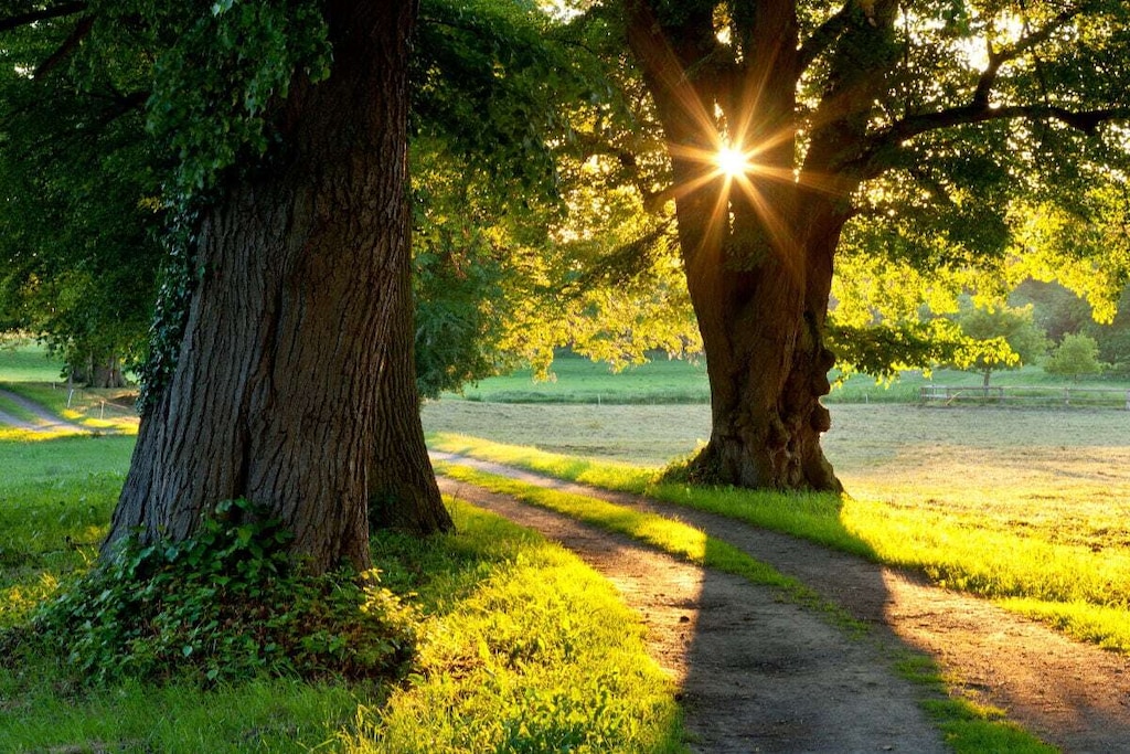 Ground floor: (hallway(Mirror, Wardrobe Coatrack), Living room(Armchair, Sofa, library, TV, radio, stereo unit), Kitchen(Tea Towels, Kitchenette, TV, stove, hob, electric kettle, toaster, cooker, coffee machine, oven, grill, microwave, dishwasher, fridge, freezer), bedroom(Bed Linen, double bed, radio), bathroom(Make Up Mirror, Mirror, toilet, shower, washbasin, heating, hairdryer), storage(Vacuum Cleaner, tumble dryer, washing machine, ironing board, iron, drying cabinet))\n\nFire Alarm, Hot Water, Safe, Internet access, heating, garden(Barbecue center, Lawn, fireplace, grill, garden furniture, sun loungers, pond, sand pit, Swing set), parking, Laundry Package for a fee