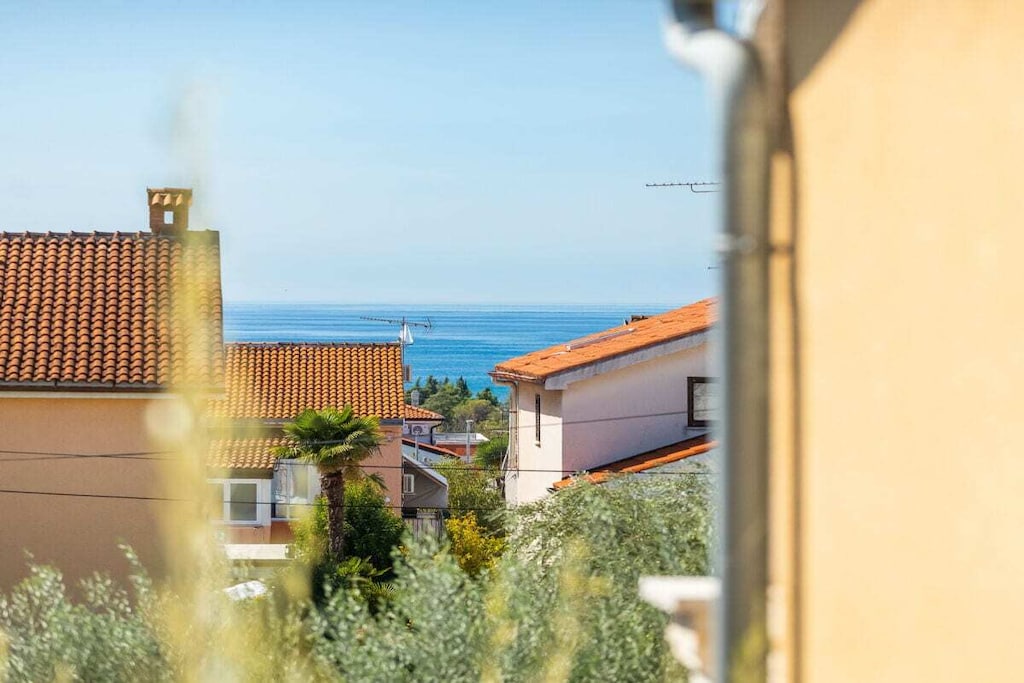 Apartment Hari II is a beautiful, modern apartment for 2-4 people. It consists of a kitchen, a living-dining room, a bedroom with a balcony, and a bathroom. There is a double bed in the bedroom and a sofa bed in the living room for two additional people. The living area opens onto a terrace with a table and chairs. The apartment has satellite TV and Wi-Fi. The bathroom has a shower. This modern apartment is located in a quiet location, 800 m from the sandy Marea Valamar beach. There is private parking and a garden with outdoor seating.